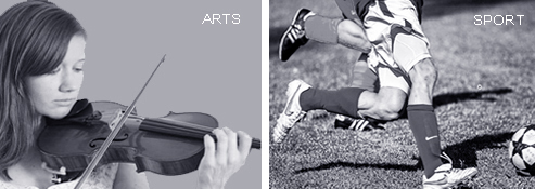 the arts, sport